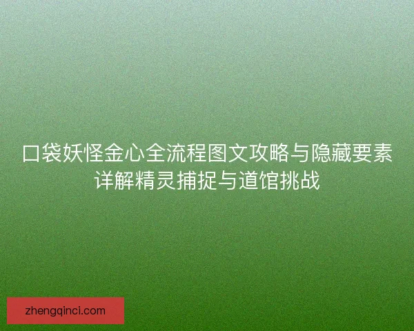 口袋妖怪金心全流程图文攻略与隐藏要素详解精灵捕捉与道馆挑战